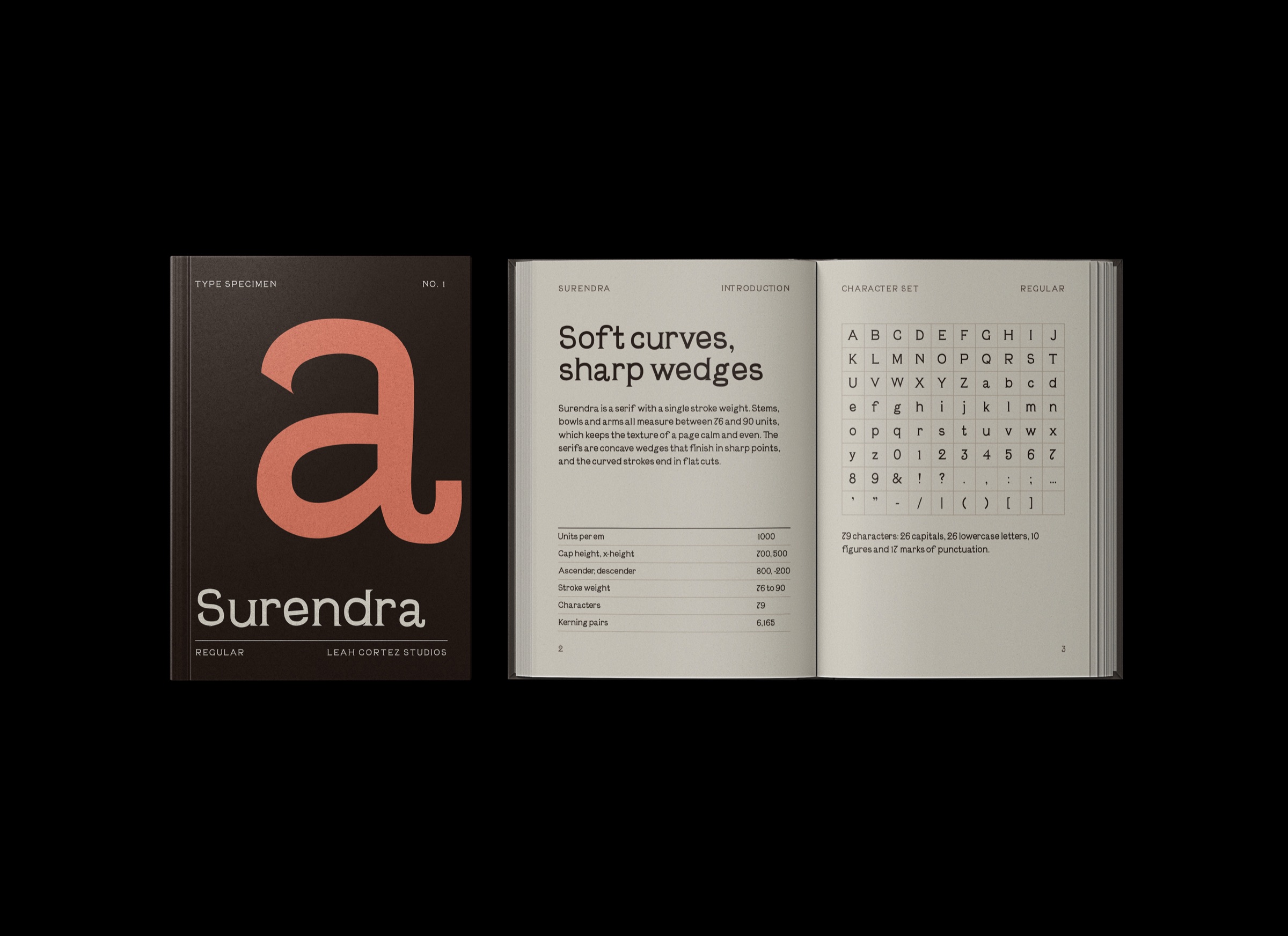 Surendra specimen mockup 3.