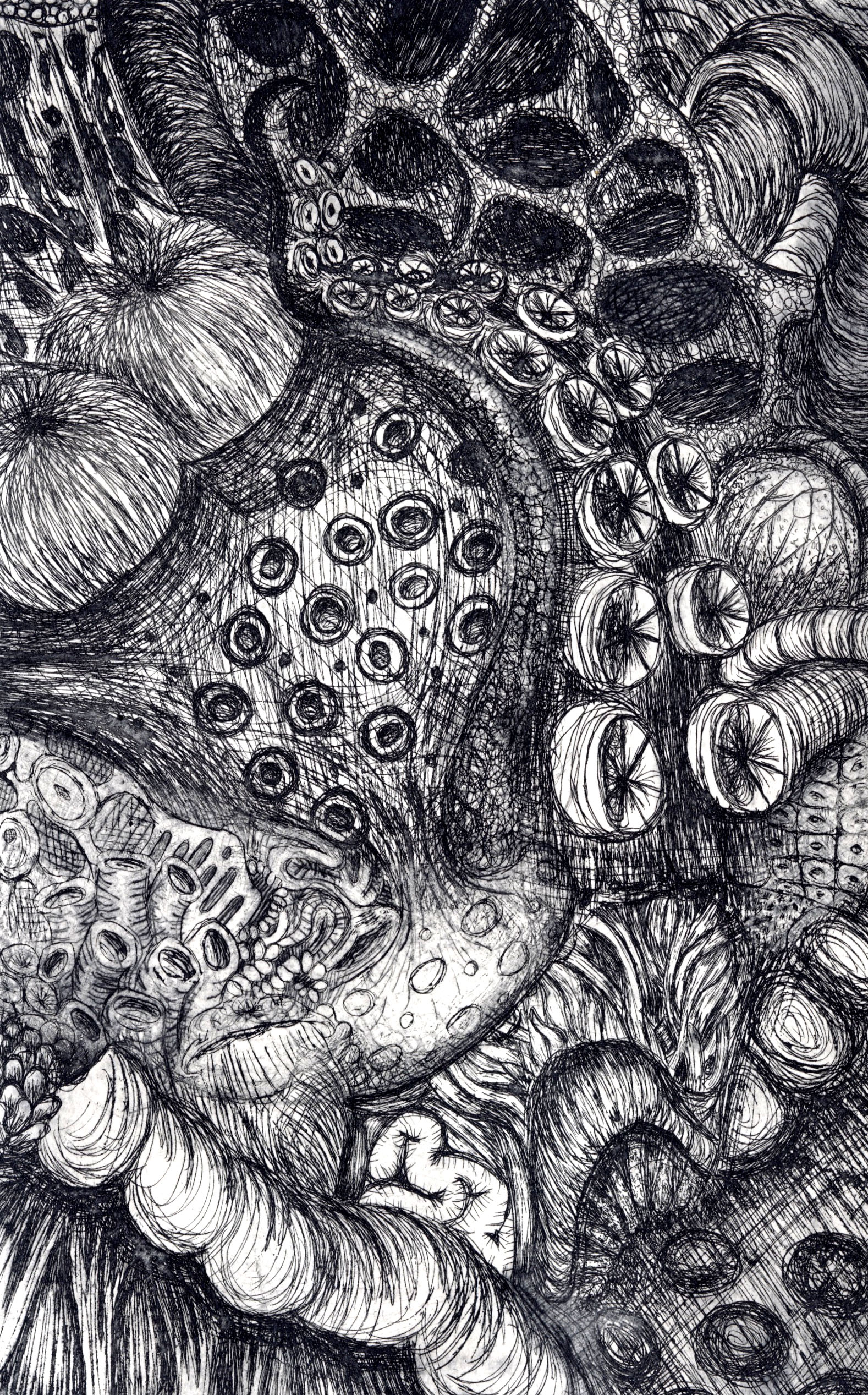 Unbecoming - Etching and drypoint print visualizing transformation, anxiety, and resilience through tangled, mutating forms